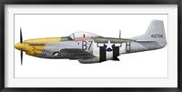 Framed P-51D Mustang, nicknamed Ferocious Frankie