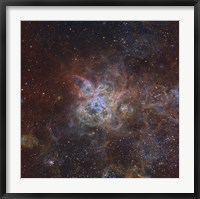 Framed Tarantula Nebula