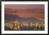 Framed Landscape View, Serengeti National Park, Tanzania