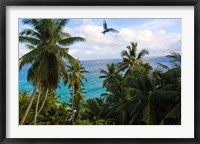 Framed Palm Trees of Anse Victorin Beach, Seychelles, Africa