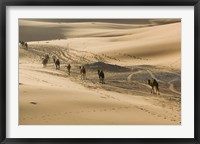 Framed MOROCCO, Tafilalt, Camel Caravan, Erg Chebbi Dunes