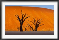 Framed Namib-Naukluft National Park, Namibia