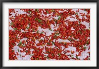 Framed Red Chili Drying in the Midday Sun, Madagascar