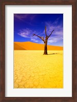 Framed Skeleton Trees in Dead Vlei, Namibia