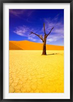 Framed Skeleton Trees in Dead Vlei, Namibia