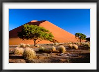 Framed Trees with Sossosvlei Dunes, Namib-Naukluff Park, Namibia