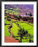 Framed Rice Terraces, Jiayin Village, Honghe, Yunnan, China