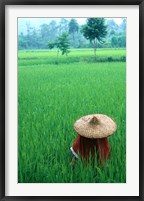 Framed Scenic of Rice Fields and Farmer on Yangtze River, China