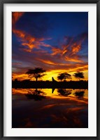 Framed Sunrise, Okaukuejo Rest Camp, Etosha National Park, Namibia