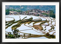 Framed Village Beside Flooded Jiayin Terraces, Honghe County, Yunnan, China