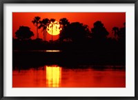 Framed Tropical Sunset in North Central Botswana