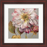 Framed 'Classically Beautiful II' border=