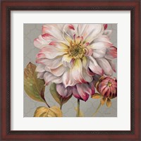 Framed 'Classically Beautiful II' border=