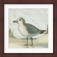 Framed 'Beach Bird II' border=