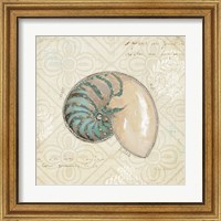 Framed 'Beach Treasures III' border=