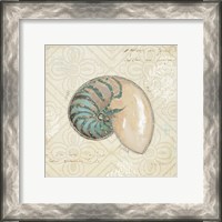 Framed 'Beach Treasures III' border=