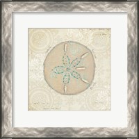 Framed 'Beach Treasures IV' border=