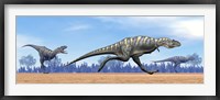 Three Aucasaurus dinosaurs running in the desert Framed Print