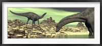 Framed Two Dicraeosaurus dinosaurs in a desert landscape