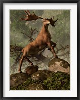 Framed Irish Elk stands proudly in a dense forest