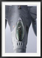 Framed F-16 Fighting Falcon of the Portugese Air Force