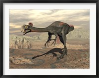 Framed Gigantoraptor dinosaur walking  on rocky terrain