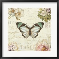 Marche de Fleurs Butterfly II Framed Print