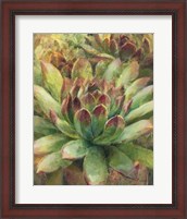 Framed 'Nature Delight III' border=