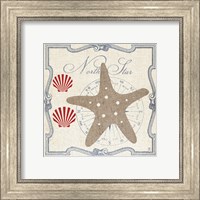 Framed Pacific Starfish