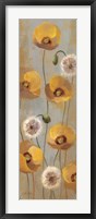 Framed Spring Poppies II