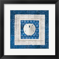 Framed Sea Shell I on Blue