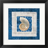 Framed Sea Shell II on Blue