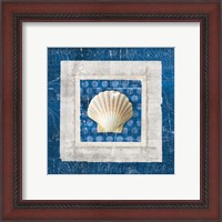 Framed 'Sea Shell III on Blue' border=