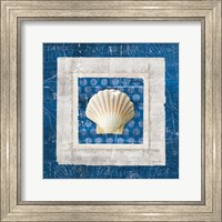 Framed Sea Shell III on Blue