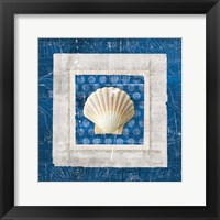 Framed 'Sea Shell III on Blue' border=