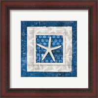 Framed 'Sea Shell IV on Blue' border=