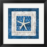 Framed 'Sea Shell IV on Blue' border=