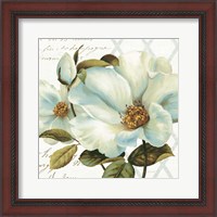 Framed 'White Floral Bliss II' border=