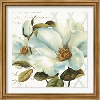 Framed 'White Floral Bliss II' border=