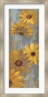 Framed Yellow Gerberas II