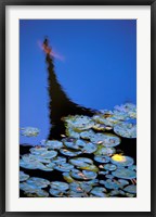 Framed Lily Pond and Temple Reflection in Blue, China