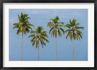 Framed Coconut trees in Backwaters, Kerala, India