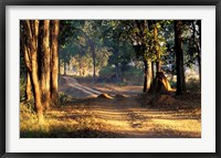 Framed Rural Road, Kanha National Park, India