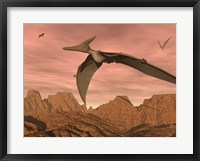 Framed Three pteranodon dinosaurs flying above rocky landscape