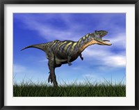 Aucasaurus dinosaur running in the grass Framed Print