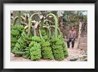 Framed India, Meghalaya, Bajengdoba, Bananas and the man who picked them