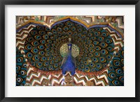 Framed Asia, India, Jaipur. Peacock Gate at Jaipur Palace