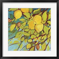 Framed Lemons Above