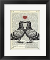 Pigeons in Love Framed Print