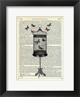 Bird Cage & Butterflies Framed Print
